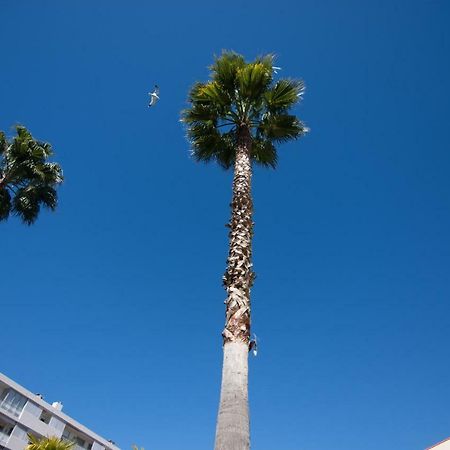 Le Parc Pointe Croisette Apartamento Cannes Exterior foto